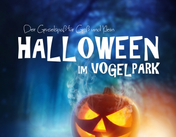 Halloween im Vogelpark 2026